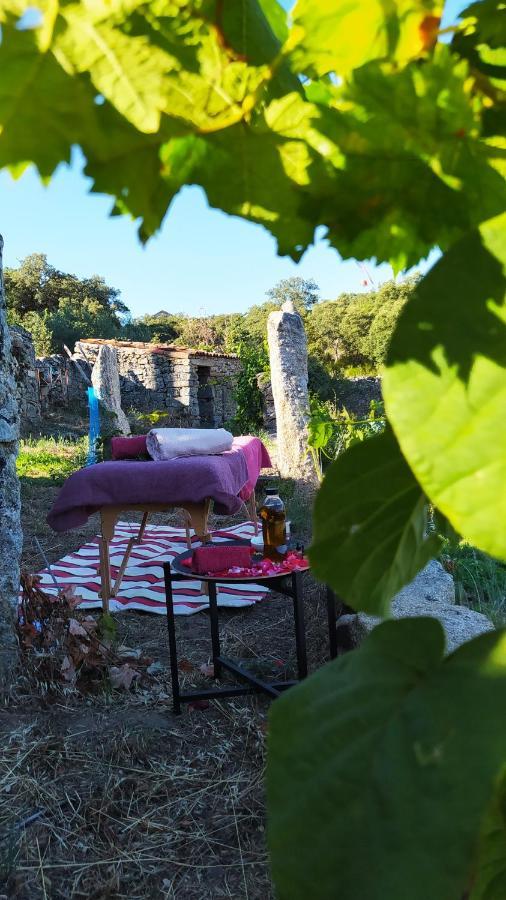 Casa D'Augusta - Agroturismo Міранда-ду-Дору Екстер'єр фото